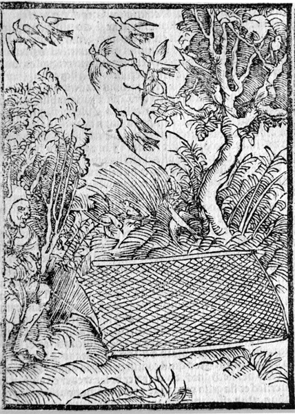 durer.fools.bird.catcher2