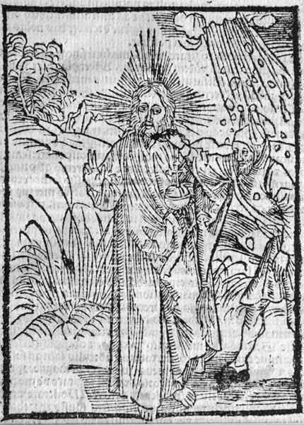 durer.fools.mocks.god