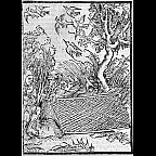 durer.fools.bird.catcher2