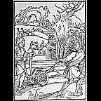 durer.fools.incorrigible